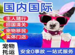 南通机场空运国际宠物托运 【国